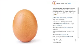World Record Egg meme card, rare rarity