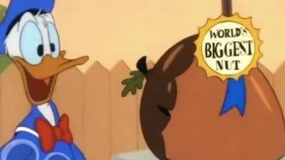 World's Biggest Nut meme card, common rarity