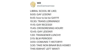 X If It Was Woke / Libral Scool meme card, common rarity