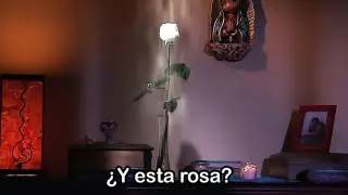 Y Esta Rosa? meme card, common rarity