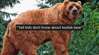 Y'all Don't Know About the Kodiak Bear meme card, common rarity