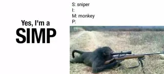 Yes, I'm a SIMP meme card, common rarity