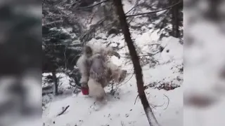 Yeti Falling Down Hill meme card, common rarity