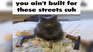 You Ain't Built for These Streets Cuh meme card, common rarity