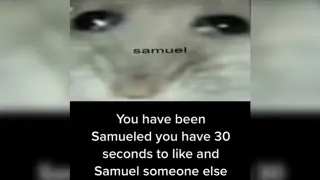 You Have Been Samueled meme card, common rarity