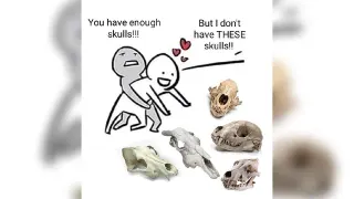 Carte meme You Have Enough X, But I Don’t Have These X, rareté commune