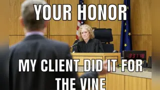 Your Honor meme card, common rarity