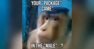 Your "Package" "Came" In the "Male" meme card, common rarity