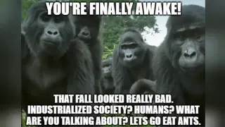 You're Finally Awake / You Hit Your Head Really Hard meme card, rare rarity