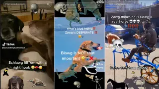 Zawg / Schlawg meme card, common rarity