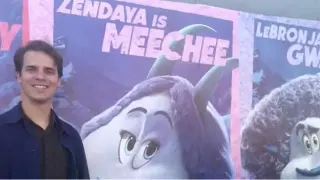 Carte meme Zendaya Is Meechee, rareté rare