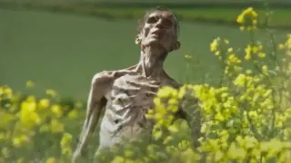 Zombie Cillian Murphy meme card, common rarity